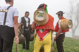Alp, Alpaufzug, Alpen, Alpfahrt, Alps, Appenzell, Appenzell Ausserrohden, Appenzellerland, Brauchtum, Brauchtum und Anlässe, Frühling, Jahreszeiten, Kühe, Landschaft und Natur, Mai, Natur, Orte, Ostschweiz, Schweiz, Sennen, Spring, Suisse, Switzerland, Tier, Tracht, Urnäsch, tradition