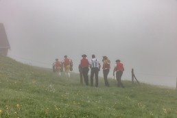 Alp, Alpaufzug, Alpen, Alpfahrt, Alps, Appenzell, Appenzell Ausserrohden, Appenzellerland, Brauchtum, Brauchtum und Anlässe, Frühling, Jahreszeiten, Kühe, Landschaft und Natur, Mai, Natur, Orte, Ostschweiz, Schweiz, Sennen, Spring, Suisse, Switzerland, Tier, Tracht, Urnäsch, tradition