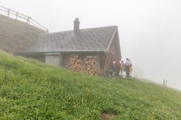 Alp, Alpaufzug, Alpen, Alpfahrt, Alps, Appenzell, Appenzell Ausserrohden, Appenzellerland, Brauchtum, Brauchtum und Anlässe, Frühling, Jahreszeiten, Kühe, Landschaft und Natur, Mai, Natur, Orte, Ostschweiz, Schweiz, Sennen, Spring, Suisse, Switzerland, Tier, Tracht, Urnäsch, tradition