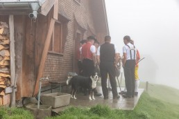 Alp, Alpaufzug, Alpen, Alpfahrt, Alps, Appenzell, Appenzell Ausserrohden, Appenzellerland, Brauchtum, Brauchtum und Anlässe, Frühling, Jahreszeiten, Kühe, Landschaft und Natur, Mai, Natur, Orte, Ostschweiz, Schweiz, Sennen, Spring, Suisse, Switzerland, Tier, Tracht, Urnäsch, tradition