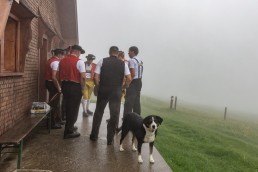 Alp, Alpaufzug, Alpen, Alpfahrt, Alps, Appenzell, Appenzell Ausserrohden, Appenzellerland, Brauchtum, Brauchtum und Anlässe, Frühling, Jahreszeiten, Kühe, Landschaft und Natur, Mai, Natur, Orte, Ostschweiz, Schweiz, Sennen, Spring, Suisse, Switzerland, Tier, Tracht, Urnäsch, tradition