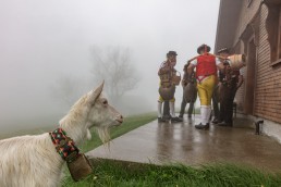 Alp, Alpaufzug, Alpen, Alpfahrt, Alps, Appenzell, Appenzell Ausserrohden, Appenzellerland, Brauchtum, Brauchtum und Anlässe, Frühling, Jahreszeiten, Kühe, Landschaft und Natur, Mai, Natur, Orte, Ostschweiz, Schweiz, Sennen, Spring, Suisse, Switzerland, Tier, Tracht, Urnäsch, tradition