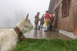 Alp, Alpaufzug, Alpen, Alpfahrt, Alps, Appenzell, Appenzell Ausserrohden, Appenzellerland, Brauchtum, Brauchtum und Anlässe, Frühling, Jahreszeiten, Kühe, Landschaft und Natur, Mai, Natur, Orte, Ostschweiz, Schweiz, Sennen, Spring, Suisse, Switzerland, Tier, Tracht, Urnäsch, tradition
