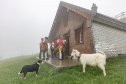 Alp, Alpaufzug, Alpen, Alpfahrt, Alps, Appenzell, Appenzell Ausserrohden, Appenzellerland, Brauchtum, Brauchtum und Anlässe, Frühling, Jahreszeiten, Kühe, Landschaft und Natur, Mai, Natur, Orte, Ostschweiz, Schweiz, Sennen, Spring, Suisse, Switzerland, Tier, Tracht, Urnäsch, tradition