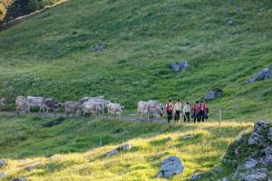 Alp, Alpaufzug, Alpen, Alpfahrt, Alps, Appenzell, Appenzellerland, Brauchtum, Brauchtum und Anlässe, Kühe, Landschaft und Natur, Orte, Ostschweiz, Schweiz, Schwägalp, Sennen, Suisse, Switzerland, Säntis, Tier, Tracht, Urnäsch, tradition