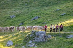 Alp, Alpaufzug, Alpen, Alpfahrt, Alps, Appenzell, Appenzellerland, Brauchtum, Brauchtum und Anlässe, Kühe, Landschaft und Natur, Orte, Ostschweiz, Schweiz, Schwägalp, Sennen, Suisse, Switzerland, Säntis, Tier, Tracht, Urnäsch, tradition
