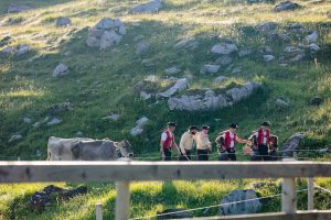 Alp, Alpaufzug, Alpen, Alpfahrt, Alps, Appenzell, Appenzellerland, Brauchtum, Brauchtum und Anlässe, Kühe, Landschaft und Natur, Orte, Ostschweiz, Schweiz, Schwägalp, Sennen, Suisse, Switzerland, Säntis, Tier, Tracht, Urnäsch, tradition