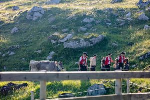 Alp, Alpaufzug, Alpen, Alpfahrt, Alps, Appenzell, Appenzellerland, Brauchtum, Brauchtum und Anlässe, Kühe, Landschaft und Natur, Orte, Ostschweiz, Schweiz, Schwägalp, Sennen, Suisse, Switzerland, Säntis, Tier, Tracht, Urnäsch, tradition