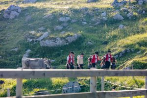 Alp, Alpaufzug, Alpen, Alpfahrt, Alps, Appenzell, Appenzellerland, Brauchtum, Brauchtum und Anlässe, Kühe, Landschaft und Natur, Orte, Ostschweiz, Schweiz, Schwägalp, Sennen, Suisse, Switzerland, Säntis, Tier, Tracht, Urnäsch, tradition