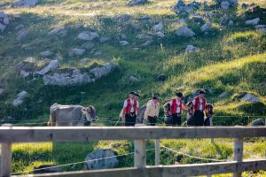 Alp, Alpaufzug, Alpen, Alpfahrt, Alps, Appenzell, Appenzellerland, Brauchtum, Brauchtum und Anlässe, Kühe, Landschaft und Natur, Orte, Ostschweiz, Schweiz, Schwägalp, Sennen, Suisse, Switzerland, Säntis, Tier, Tracht, Urnäsch, tradition