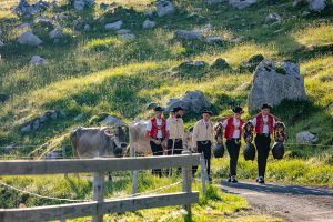 Alp, Alpaufzug, Alpen, Alpfahrt, Alps, Appenzell, Appenzellerland, Brauchtum, Brauchtum und Anlässe, Kühe, Landschaft und Natur, Orte, Ostschweiz, Schweiz, Schwägalp, Sennen, Suisse, Switzerland, Säntis, Tier, Tracht, Urnäsch, tradition
