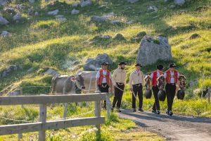 Alp, Alpaufzug, Alpen, Alpfahrt, Alps, Appenzell, Appenzellerland, Brauchtum, Brauchtum und Anlässe, Kühe, Landschaft und Natur, Orte, Ostschweiz, Schweiz, Schwägalp, Sennen, Suisse, Switzerland, Säntis, Tier, Tracht, Urnäsch, tradition