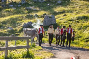 Alp, Alpaufzug, Alpen, Alpfahrt, Alps, Appenzell, Appenzellerland, Brauchtum, Brauchtum und Anlässe, Kühe, Landschaft und Natur, Orte, Ostschweiz, Schweiz, Schwägalp, Sennen, Suisse, Switzerland, Säntis, Tier, Tracht, Urnäsch, tradition