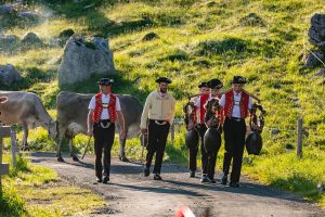 Alp, Alpaufzug, Alpen, Alpfahrt, Alps, Appenzell, Appenzellerland, Brauchtum, Brauchtum und Anlässe, Kühe, Landschaft und Natur, Orte, Ostschweiz, Schweiz, Schwägalp, Sennen, Suisse, Switzerland, Säntis, Tier, Tracht, Urnäsch, tradition