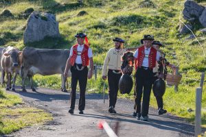 Alp, Alpaufzug, Alpen, Alpfahrt, Alps, Appenzell, Appenzellerland, Brauchtum, Brauchtum und Anlässe, Kühe, Landschaft und Natur, Orte, Ostschweiz, Schweiz, Schwägalp, Sennen, Suisse, Switzerland, Säntis, Tier, Tracht, Urnäsch, tradition