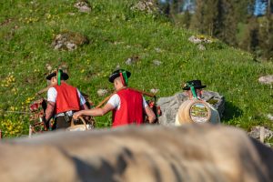 Alp, Alpaufzug, Alpen, Alpfahrt, Alps, Appenzell, Appenzellerland, Brauchtum, Brauchtum und Anlässe, Kühe, Landschaft und Natur, Orte, Ostschweiz, Schweiz, Schwägalp, Sennen, Suisse, Switzerland, Säntis, Tier, Tracht, Urnäsch, tradition