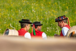 Alp, Alpaufzug, Alpen, Alpfahrt, Alps, Appenzell, Appenzell Ausserrohden, Appenzellerland, Brauchtum und Anlässe, Frühling, Jahreszeiten, Kühe, Landschaft und Natur, Mai, Natur, Orte, Ostschweiz, Schweiz, Sennen, Spring, Suisse, Switzerland, Tier, Tracht, spring, tradition