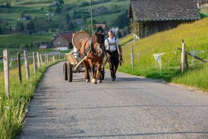 Alp, Alpaufzug, Alpen, Alpfahrt, Alps, Appenzell, Appenzell Ausserrohden, Appenzellerland, Brauchtum und Anlässe, Frühling, Jahreszeiten, Kühe, Landschaft und Natur, Mai, Natur, Orte, Ostschweiz, Schweiz, Sennen, Spring, Suisse, Switzerland, Tier, Tracht, spring, tradition