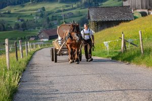 Alp, Alpaufzug, Alpen, Alpfahrt, Alps, Appenzell, Appenzell Ausserrohden, Appenzellerland, Brauchtum und Anlässe, Frühling, Jahreszeiten, Kühe, Landschaft und Natur, Mai, Natur, Orte, Ostschweiz, Schweiz, Sennen, Spring, Suisse, Switzerland, Tier, Tracht, spring, tradition