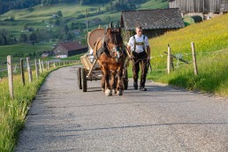 Alp, Alpaufzug, Alpen, Alpfahrt, Alps, Appenzell, Appenzell Ausserrohden, Appenzellerland, Brauchtum und Anlässe, Frühling, Jahreszeiten, Kühe, Landschaft und Natur, Mai, Natur, Orte, Ostschweiz, Schweiz, Sennen, Spring, Suisse, Switzerland, Tier, Tracht, spring, tradition