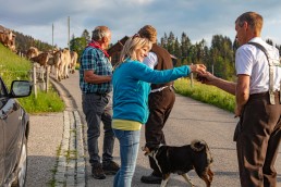 Alp, Alpaufzug, Alpen, Alpfahrt, Alps, Appenzell, Appenzell Ausserrohden, Appenzellerland, Brauchtum und Anlässe, Frühling, Jahreszeiten, Kühe, Landschaft und Natur, Mai, Natur, Orte, Ostschweiz, Schweiz, Sennen, Spring, Suisse, Switzerland, Tier, Tracht, spring, tradition