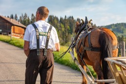 Alp, Alpaufzug, Alpen, Alpfahrt, Alps, Appenzell, Appenzell Ausserrohden, Appenzellerland, Brauchtum und Anlässe, Frühling, Jahreszeiten, Kühe, Landschaft und Natur, Mai, Natur, Orte, Ostschweiz, Schweiz, Sennen, Spring, Suisse, Switzerland, Tier, Tracht, spring, tradition