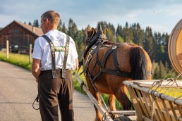 Alp, Alpaufzug, Alpen, Alpfahrt, Alps, Appenzell, Appenzell Ausserrohden, Appenzellerland, Brauchtum und Anlässe, Frühling, Jahreszeiten, Kühe, Landschaft und Natur, Mai, Natur, Orte, Ostschweiz, Schweiz, Sennen, Spring, Suisse, Switzerland, Tier, Tracht, spring, tradition