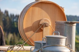 Alp, Alpaufzug, Alpen, Alpfahrt, Alps, Appenzell, Appenzell Ausserrohden, Appenzellerland, Brauchtum und Anlässe, Frühling, Jahreszeiten, Kühe, Landschaft und Natur, Mai, Natur, Orte, Ostschweiz, Schweiz, Sennen, Spring, Suisse, Switzerland, Tier, Tracht, spring, tradition