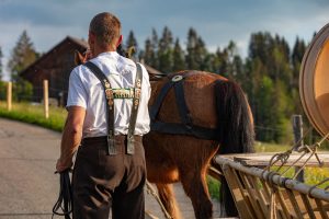 Alp, Alpaufzug, Alpen, Alpfahrt, Alps, Appenzell, Appenzell Ausserrohden, Appenzellerland, Brauchtum und Anlässe, Frühling, Jahreszeiten, Kühe, Landschaft und Natur, Mai, Natur, Orte, Ostschweiz, Schweiz, Sennen, Spring, Suisse, Switzerland, Tier, Tracht, spring, tradition
