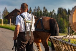 Alp, Alpaufzug, Alpen, Alpfahrt, Alps, Appenzell, Appenzell Ausserrohden, Appenzellerland, Brauchtum und Anlässe, Frühling, Jahreszeiten, Kühe, Landschaft und Natur, Mai, Natur, Orte, Ostschweiz, Schweiz, Sennen, Spring, Suisse, Switzerland, Tier, Tracht, spring, tradition