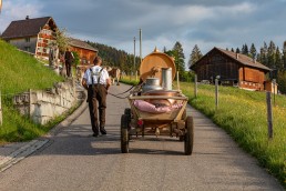 Alp, Alpaufzug, Alpen, Alpfahrt, Alps, Appenzell, Appenzell Ausserrohden, Appenzellerland, Brauchtum und Anlässe, Frühling, Jahreszeiten, Kühe, Landschaft und Natur, Mai, Natur, Orte, Ostschweiz, Schweiz, Sennen, Spring, Suisse, Switzerland, Tier, Tracht, spring, tradition