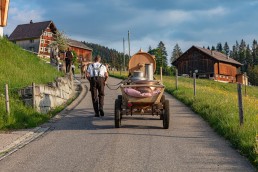 Alp, Alpaufzug, Alpen, Alpfahrt, Alps, Appenzell, Appenzell Ausserrohden, Appenzellerland, Brauchtum und Anlässe, Frühling, Jahreszeiten, Kühe, Landschaft und Natur, Mai, Natur, Orte, Ostschweiz, Schweiz, Sennen, Spring, Suisse, Switzerland, Tier, Tracht, spring, tradition