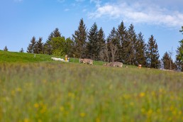 Alp, Alpaufzug, Alpen, Alpfahrt, Alps, Appenzell, Appenzell Ausserrohden, Appenzellerland, Brauchtum und Anlässe, Frühling, Jahreszeiten, Kühe, Landschaft und Natur, Mai, Natur, Orte, Ostschweiz, Schweiz, Sennen, Spring, Suisse, Switzerland, Tier, Tracht, spring, tradition