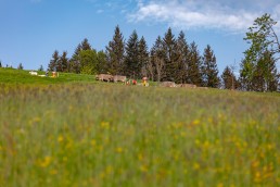 Alp, Alpaufzug, Alpen, Alpfahrt, Alps, Appenzell, Appenzell Ausserrohden, Appenzellerland, Brauchtum und Anlässe, Frühling, Jahreszeiten, Kühe, Landschaft und Natur, Mai, Natur, Orte, Ostschweiz, Schweiz, Sennen, Spring, Suisse, Switzerland, Tier, Tracht, spring, tradition