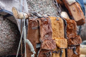 Appenzell, Appenzellerland, Bloch, Brauchtum und Anlässe, Orte, Ostschweiz, Schweiz, Suisse, Switzerland, tradition