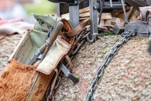 Appenzell, Appenzellerland, Bloch, Brauchtum und Anlässe, Orte, Ostschweiz, Schweiz, Suisse, Switzerland, tradition