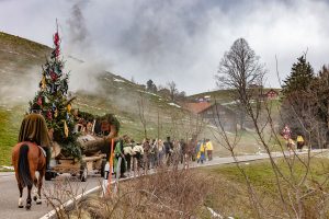 Appenzell, Appenzellerland, Bloch, Brauchtum und Anlässe, Orte, Ostschweiz, Schweiz, Suisse, Switzerland, tradition