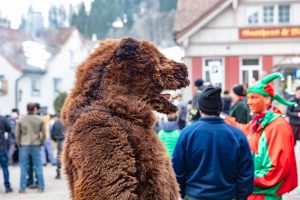 Appenzell, Appenzellerland, Bloch, Brauchtum und Anlässe, Orte, Ostschweiz, Schweiz, Suisse, Switzerland, tradition