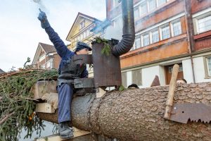 Appenzell, Appenzellerland, Bloch, Brauchtum und Anlässe, Orte, Ostschweiz, Schweiz, Suisse, Switzerland, tradition
