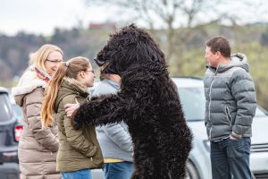 Appenzell, Appenzellerland, Bloch, Brauchtum und Anlässe, Orte, Ostschweiz, Schweiz, Suisse, Switzerland, tradition