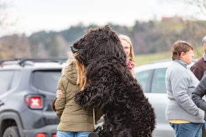 Appenzell, Appenzellerland, Bloch, Brauchtum und Anlässe, Orte, Ostschweiz, Schweiz, Suisse, Switzerland, tradition