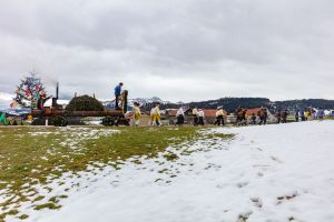 Appenzell, Appenzellerland, Bloch, Brauchtum und Anlässe, Orte, Ostschweiz, Schweiz, Suisse, Switzerland, tradition