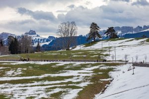 Appenzell, Appenzellerland, Bloch, Brauchtum und Anlässe, Orte, Ostschweiz, Schweiz, Suisse, Switzerland, tradition