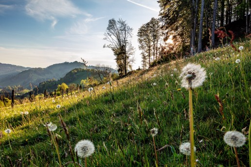 Appenzell, Ostschweiz, Switzerland