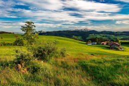Alpen, Alpstein, Appenzell Ausserrohden, Appenzellerland, Berge, Hügel, Landscape, Landschaft, Landschaft und Natur, Orte, Ostschweiz, Schweiz, Suisse, Switzerland, Säntis, Wald
