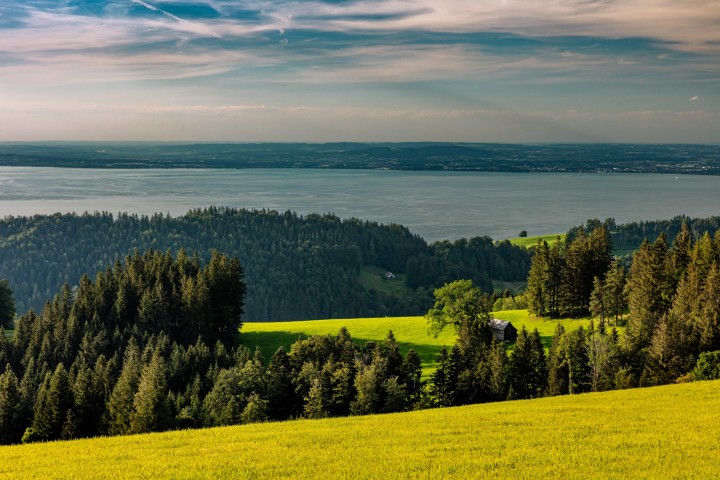 Appenzell Ausserrohden, Bodensee, Ostschweiz, Schweiz, See, Suisse, Switzerland, Wiese