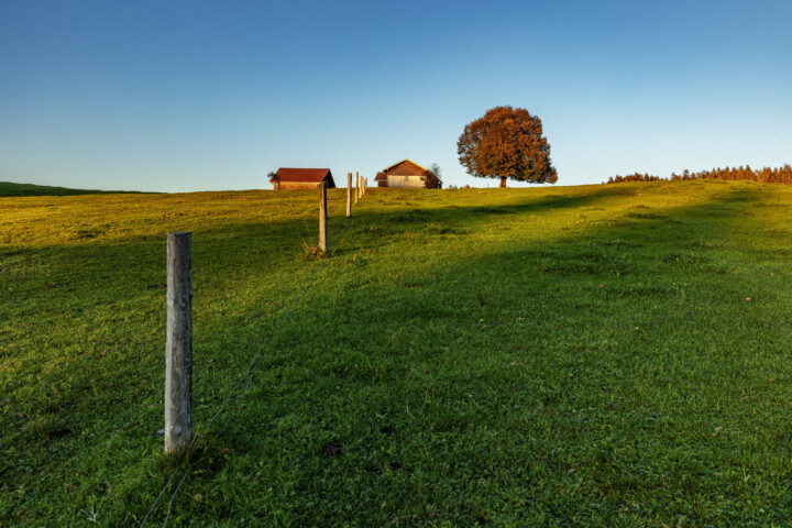 Alp, Appenzell, Autumn, Baum, Fall, Herbst, Hügel, Ostschweiz, Schweiz, Suisse, Switzerland, Säntis