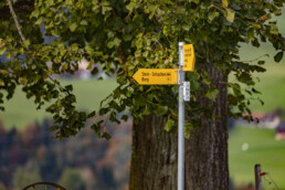 Appenzell Ausserrohden, Ostschweiz, Schweiz, Stein, Suisse, Switzerland, Tourismus, Verkehr, Wanderweg, Weg