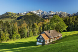 Alp, Appenzell, Autumn, Baum, Berg, Fall, Herbst, Hügel, Ostschweiz, Schweiz, Suisse, Switzerland, Säntis, Urnäsch