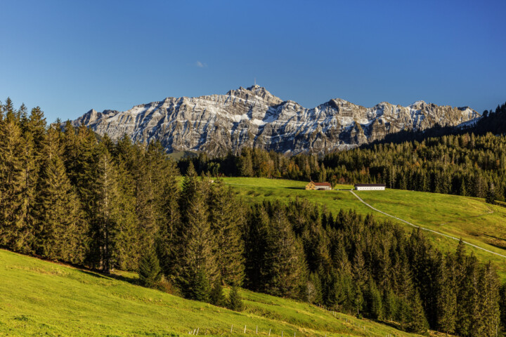 Alp, Appenzell, Autumn, Berg, Fall, Herbst, Hügel, Ostschweiz, Schweiz, Suisse, Switzerland, Säntis, Urnäsch